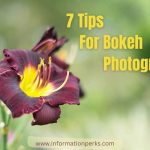 7 Tips For Bokeh Photography Explained