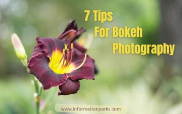 7 Tips For Bokeh Photography Explained