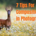 7 Tips For Composition in Photography Explained