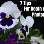 7 Tips For Depth of Field Photography Explained