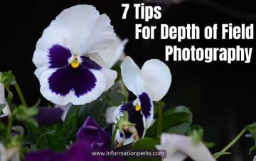 7 Tips For Depth of Field Photography Explained
