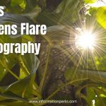 7 Tips For Lens Flare Photography Explained