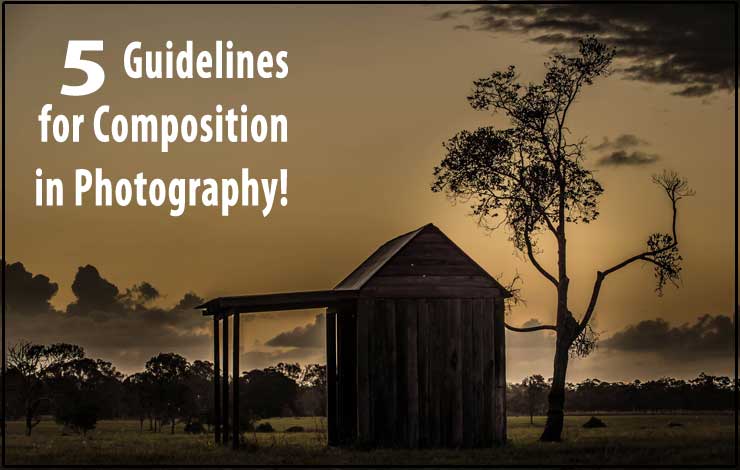 5 Guidelines for Composition in Photography
