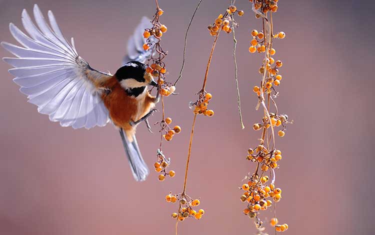 7 Common Composition Mistakes in Photography