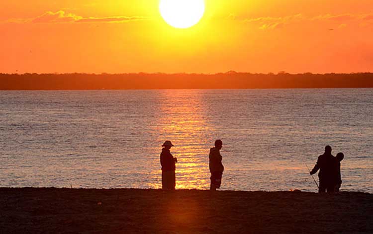 7 Tips For Backlighting in Photography