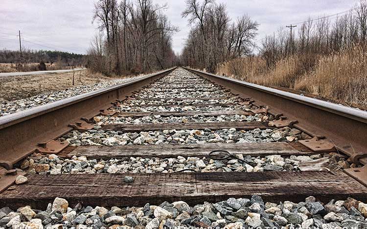 7 Tips For Composition in Photography