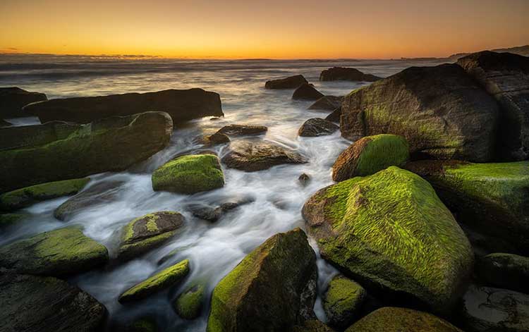 7 Tips For Composition in Photography