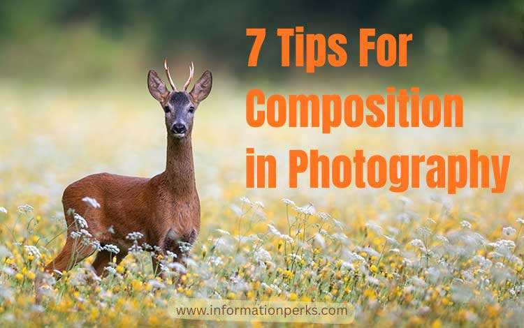 7 Tips For Composition in Photography