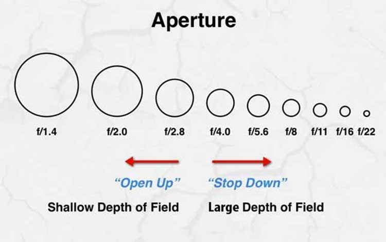 7 Tips For Depth of Field Photography