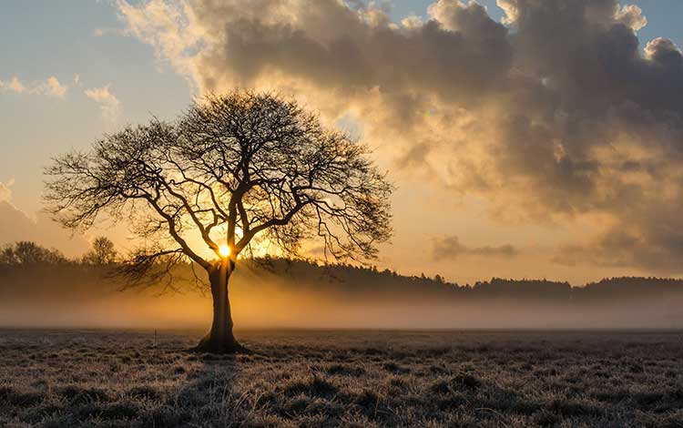 7 Tips For Golden Hour Photography