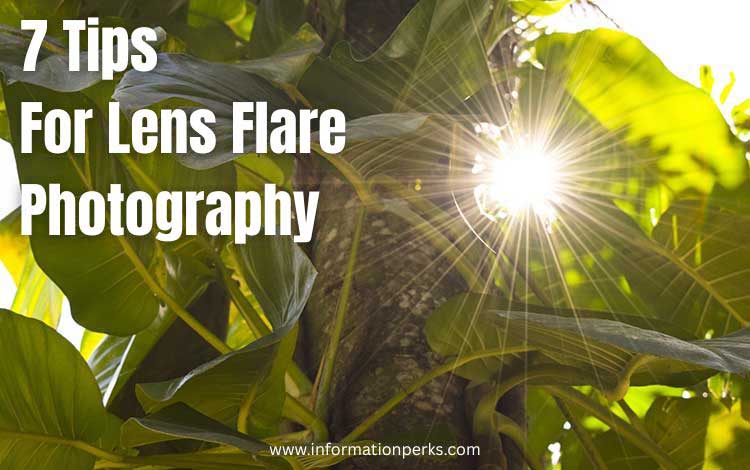 7 Tips For Lens Flare Photography