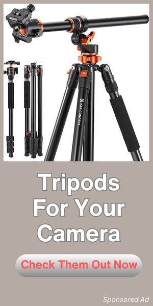 Tripods For Your Camera
